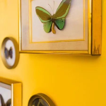 Le Jardin D'emile Cassis