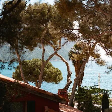 Le Jardin D'emile Cassis
