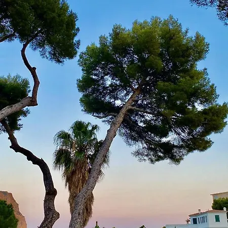 Hotel Le Jardin D'emile